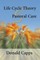 Life Cycle Theory and Pastoral Care