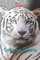 Tigers Coloring Sheets