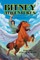 Bitney Adventures, Book One