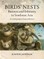 Birds' Nests: Business and Ethnicity in Southeast Asia