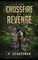 In the Crossfire of Revenge