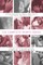 The Complete Hearts Series