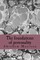The foundations of personality