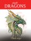 Doodle Dragons