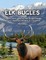 Elk Bugles