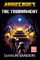 Minecraft Summer 2024 Novel