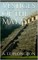 Vestiges of the Mayas