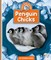 Penguin Chicks