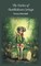 The Fairies of Tumbledown Cottage