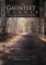 The Gauntlet Runner