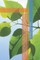 Circular Economy and Ecosystem Restoration