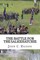 The Battle For the Salkehatchie