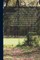 The History of Carolina, Containing the Exact Description and Natural History of That Country, Together With the Present State Thereof and a Journal of a Thousand Miles Traveled Through Several Nations of Indians, Giving a Particular Account of Their Cust