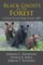 Black Ghosts of the Forest