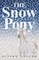 The Snow Pony