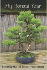 My Bonsai Year