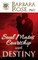 Soul Mates Courtship with Destiny