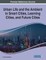 Urban Life and the Ambient in Smart Cities, Learning Cities, and Future Cities