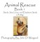 Animal Rescue, Book 1, Seals, Sea Lions and Elephant Seals, Oh My!