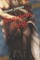 Requiem Flesh