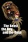 The Beast, the Boy, and the Rose