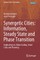 Synergetic Cities: Information, Steady State and Phase Transition