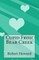 Cupid From Bear Creek