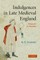 Indulgences in Late Medieval England