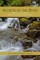Secrets of the River