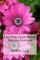 The Pink Fairy Book