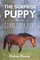 The Surprise Puppy and the Connemara Pony - The Coral Cove Horses Series