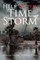 Help in the Time of Storm