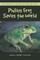 Philius Frog Saves the World
