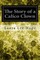 The Story of a Calico Clown