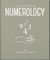 The Little Book of Numerology