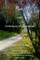 Poetry From Awareness of Awareness