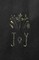 Joy