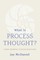 What Is Process Thought?