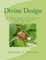 Divine Design