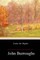 Under the Maples