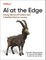 AI at the Edge