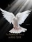 The Person and Work of The Holy Spirit
