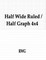 Half Wide Ruled / Half Graph 4x4