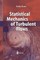 Statistical Mechanics of Turbulent Flows