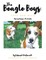 The Beagle Boys