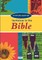 Invitation to the Bible
