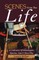 Scenes from the Life