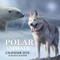 Polar Animals Calendar 2019