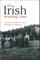 An Irish Working Class