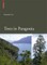 Trees in Patagonia